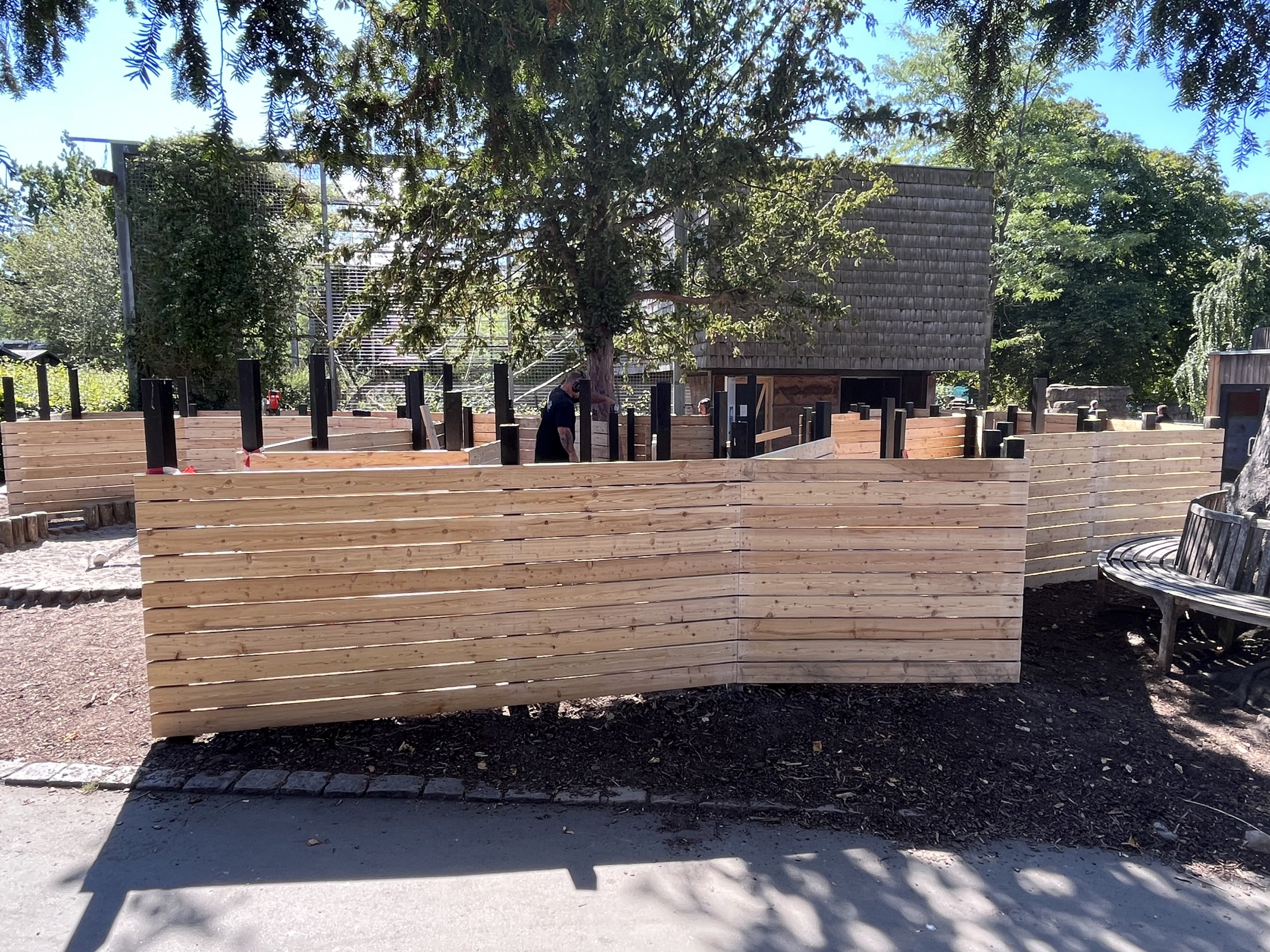 Future Children’s Maze?