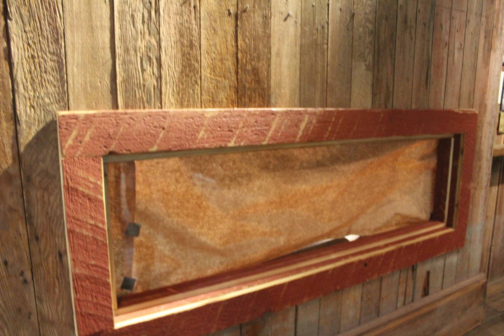 Future Chinese Giant Salamander Exhibit - The Swamp