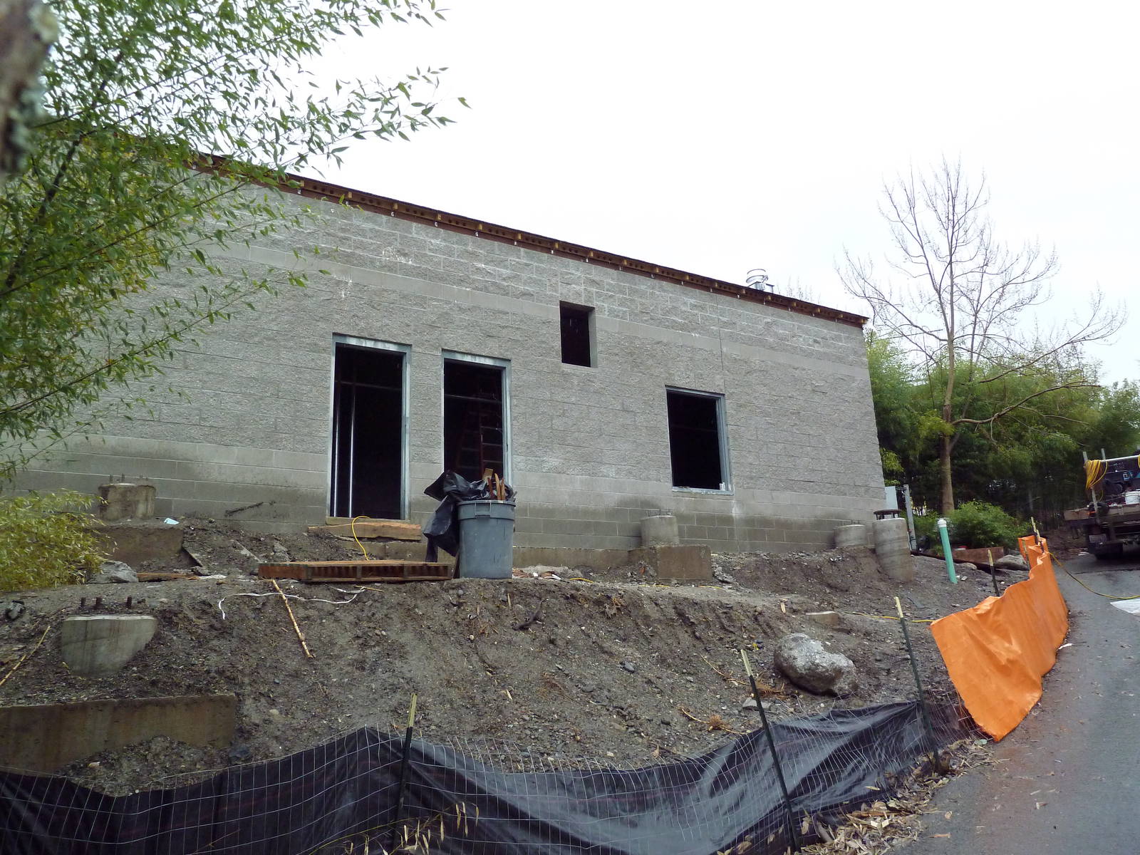 Future Clouded Leopard Exhibit