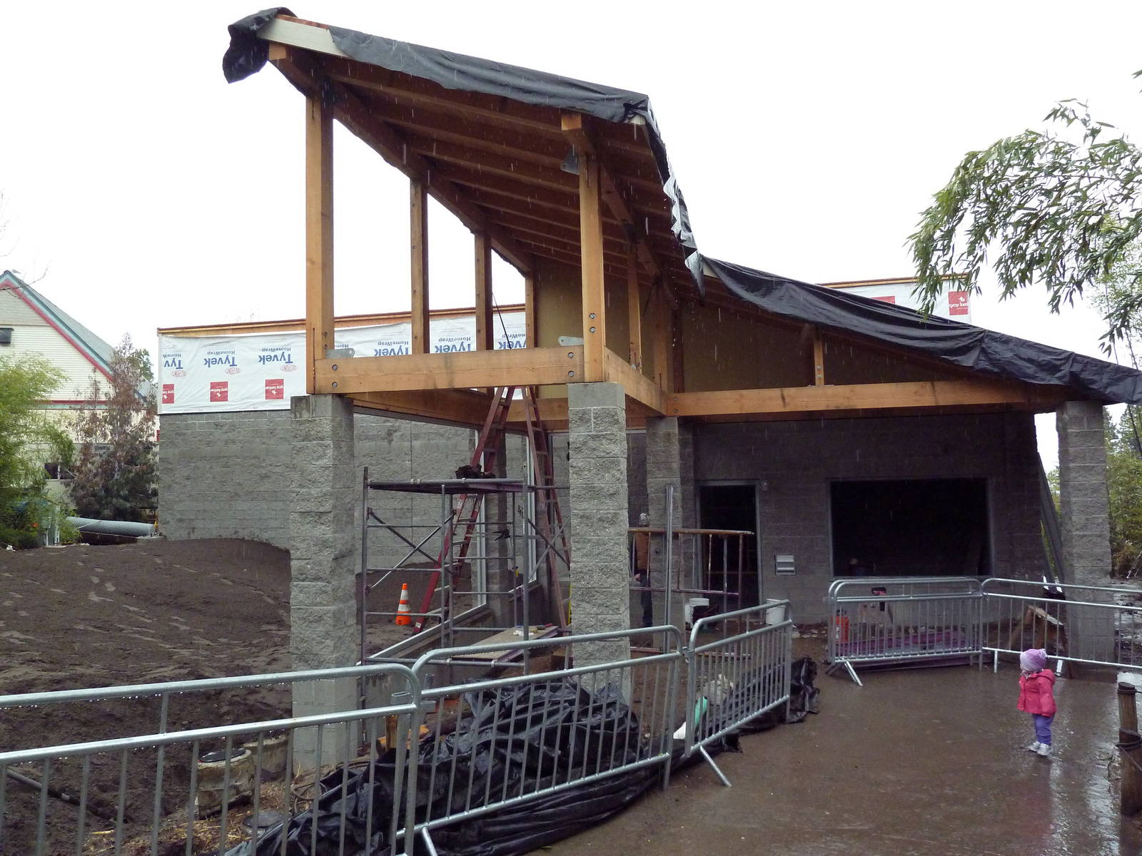 Future Clouded Leopard Exhibit