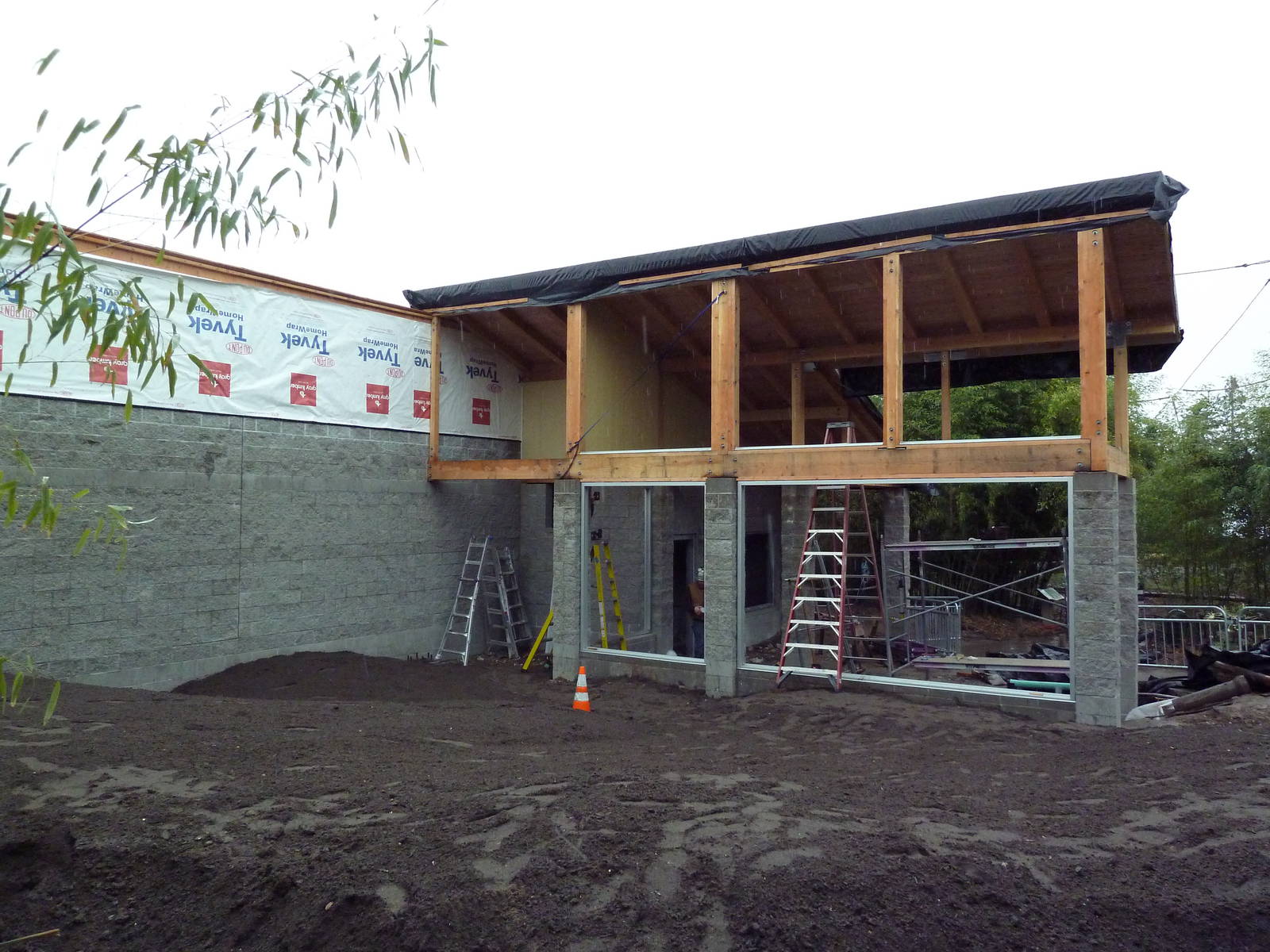 Future Clouded Leopard Exhibit