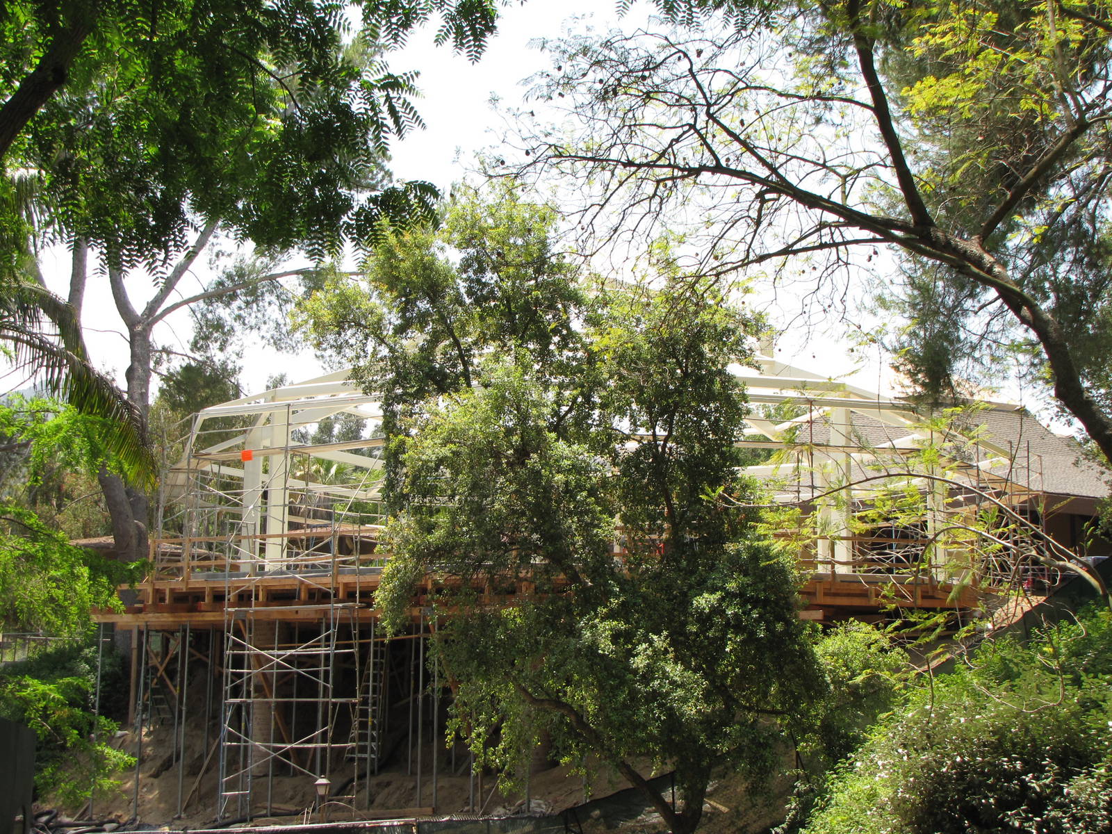 Future Conservation Carousel