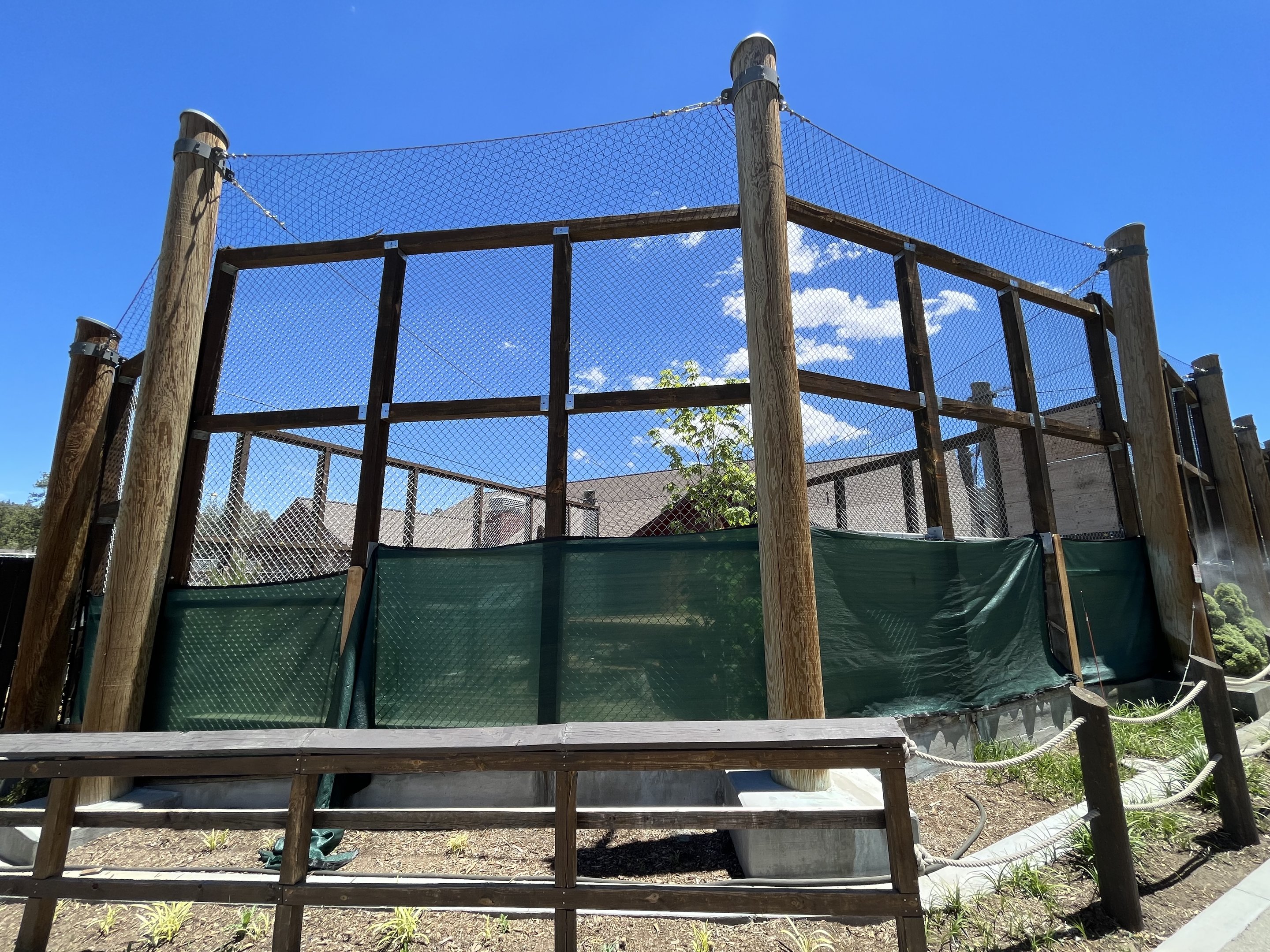 Future Cougar Exhibit