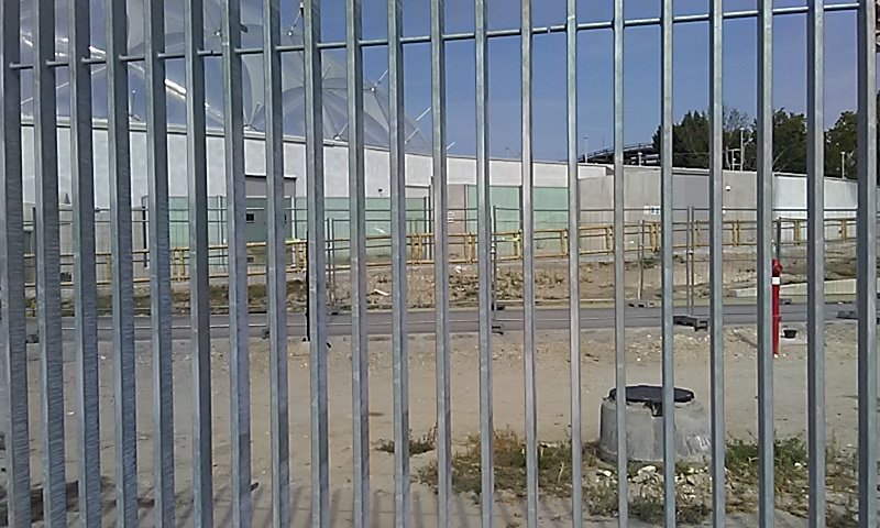 Future Croc and Small-clawed otter outdoors