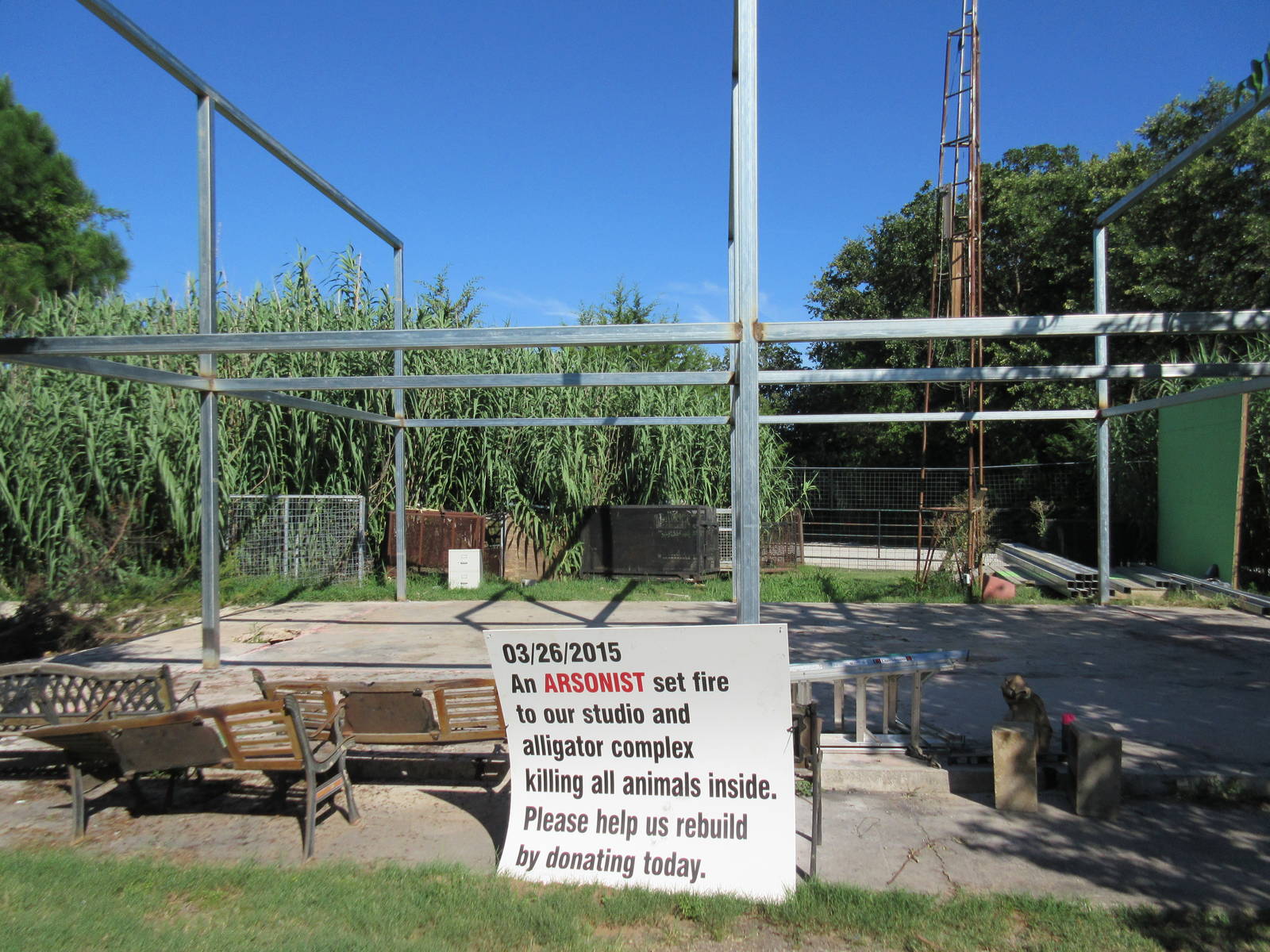 Future Crocodilian Complex