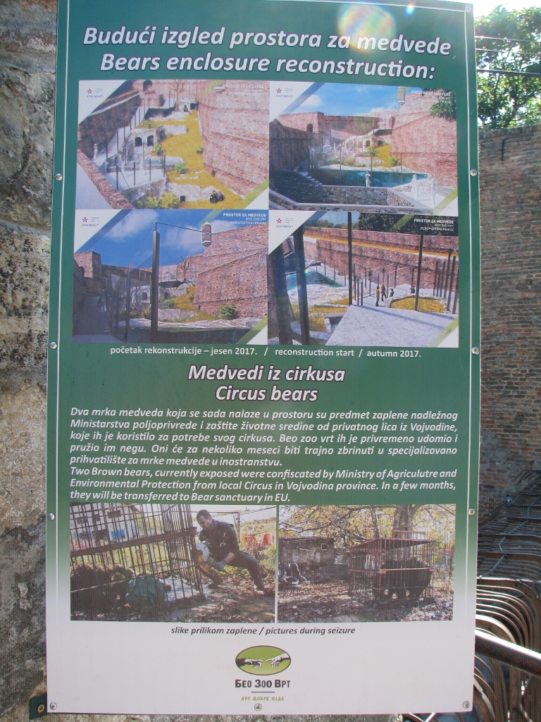 Future Development And Explanation For Two Very Bad Looking Brown Bears