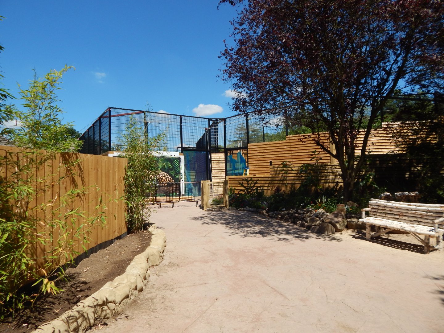 Future development for Jaguars 100722