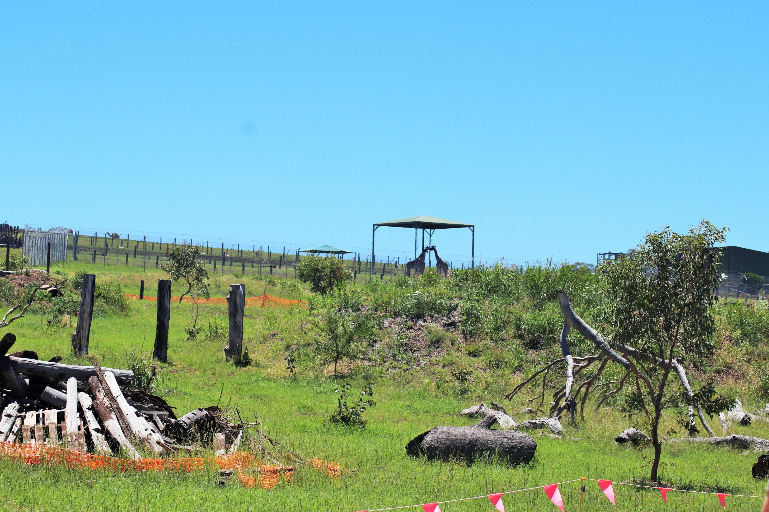 Future Development for the African Area