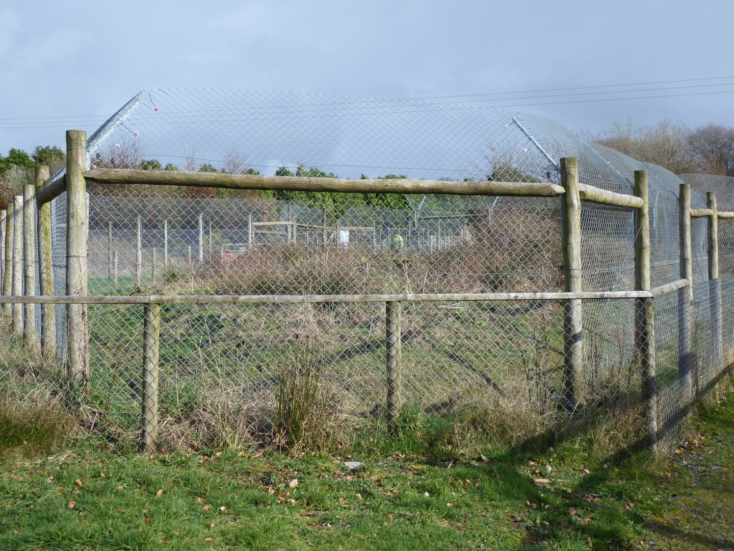 Future development for Wolverines 040319