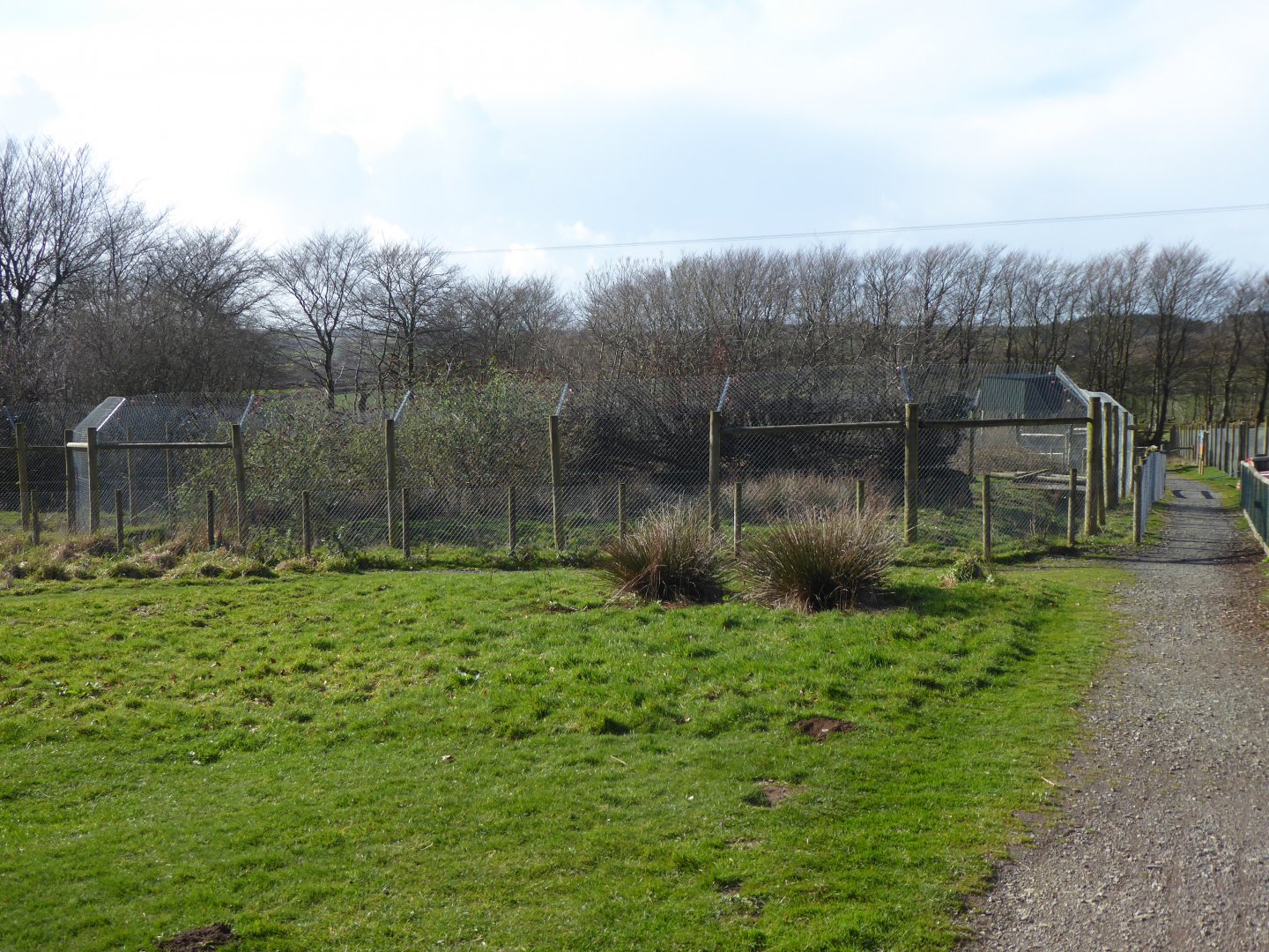 Future development for Wolverines 040319