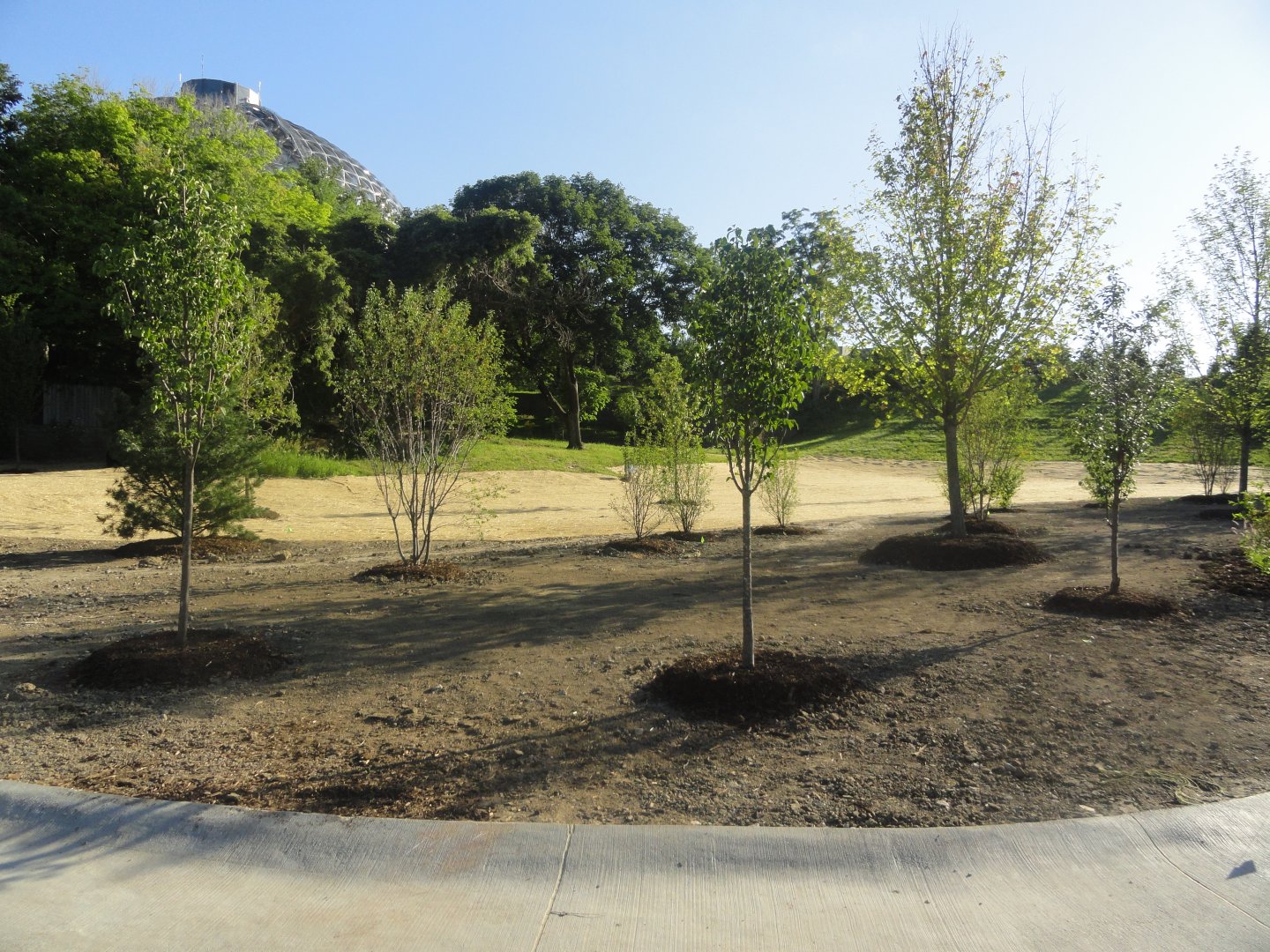 Future Development Site - Old Cat Complex Land