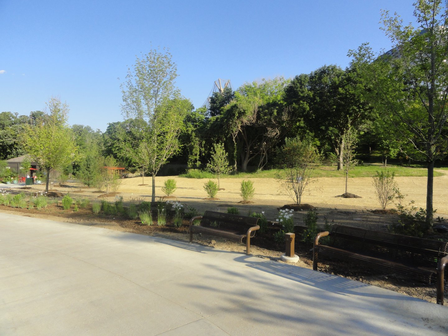 Future Development Site - Old Cat Complex Land