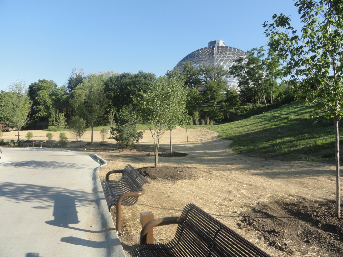 Future Development Site - Old Cat Complex Land