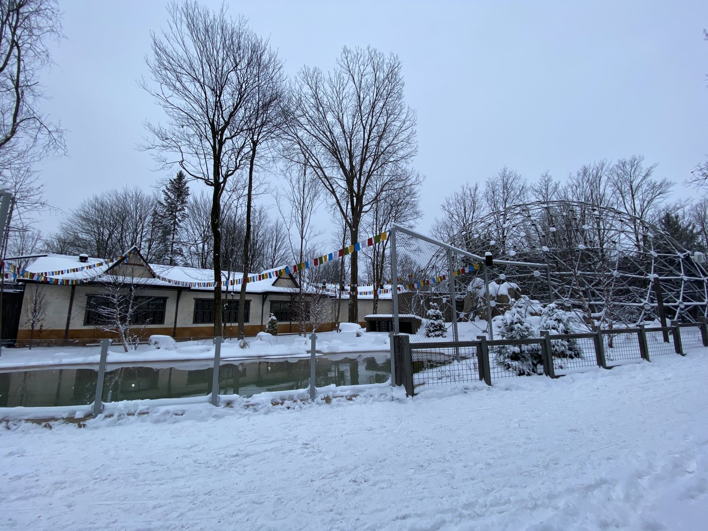 Future dhole exhibit