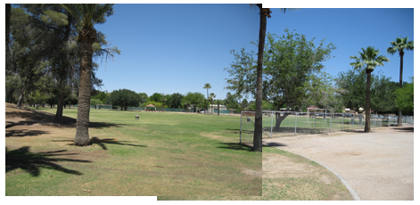 future elephant area