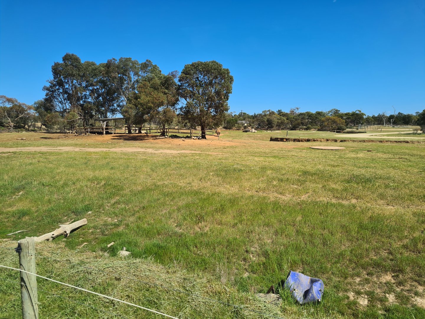 Future Elephant Enclosure