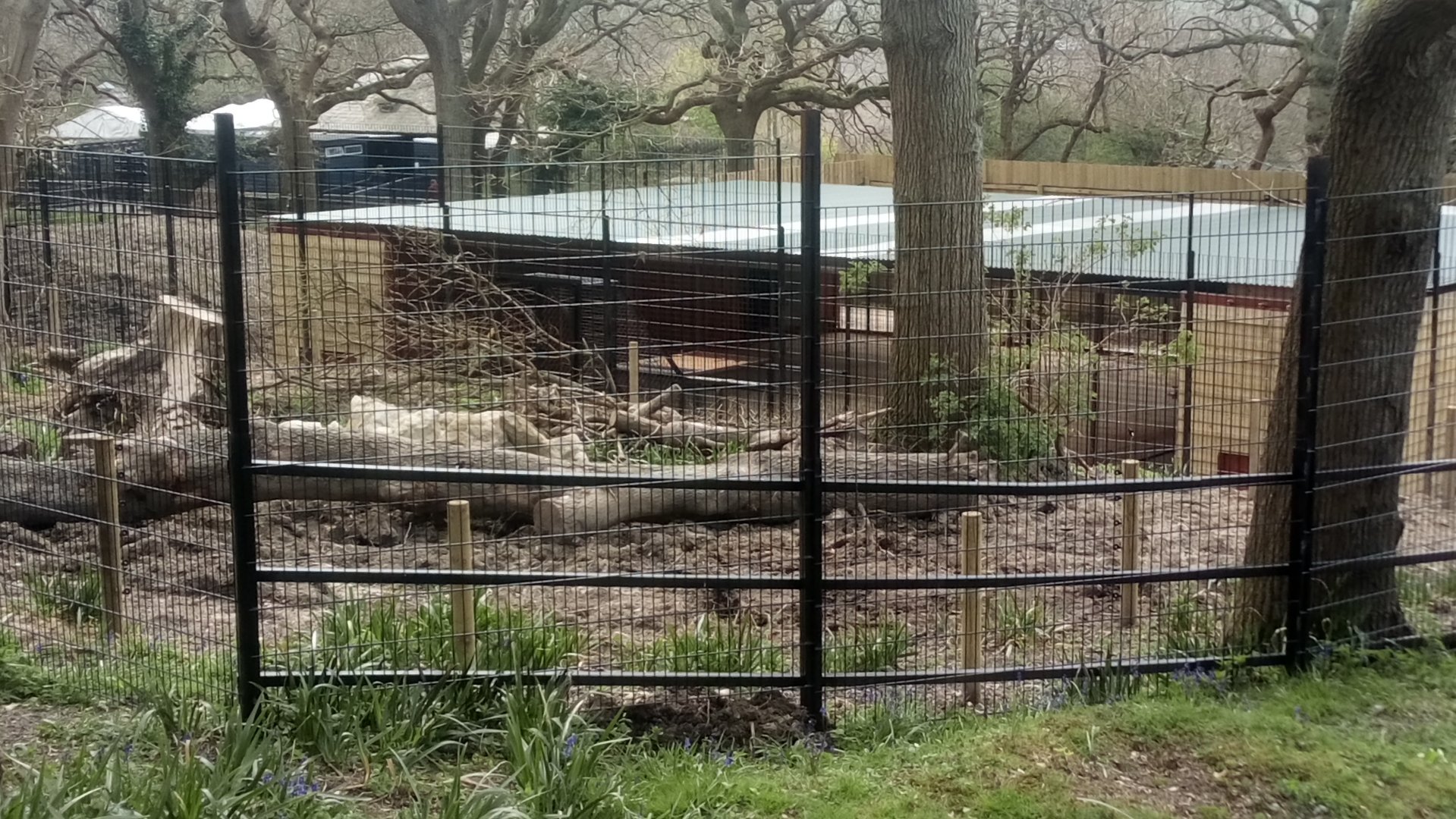 Future European Brown Bear Housing