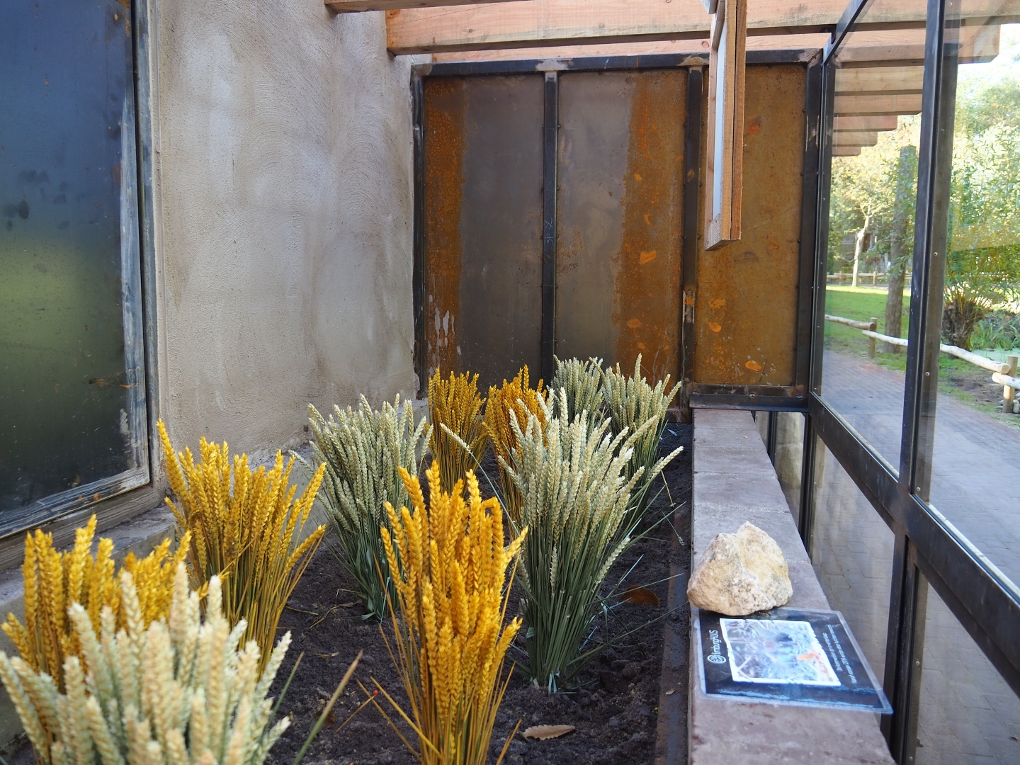 Future European hamster exhibit (Oct 13th, 2018)