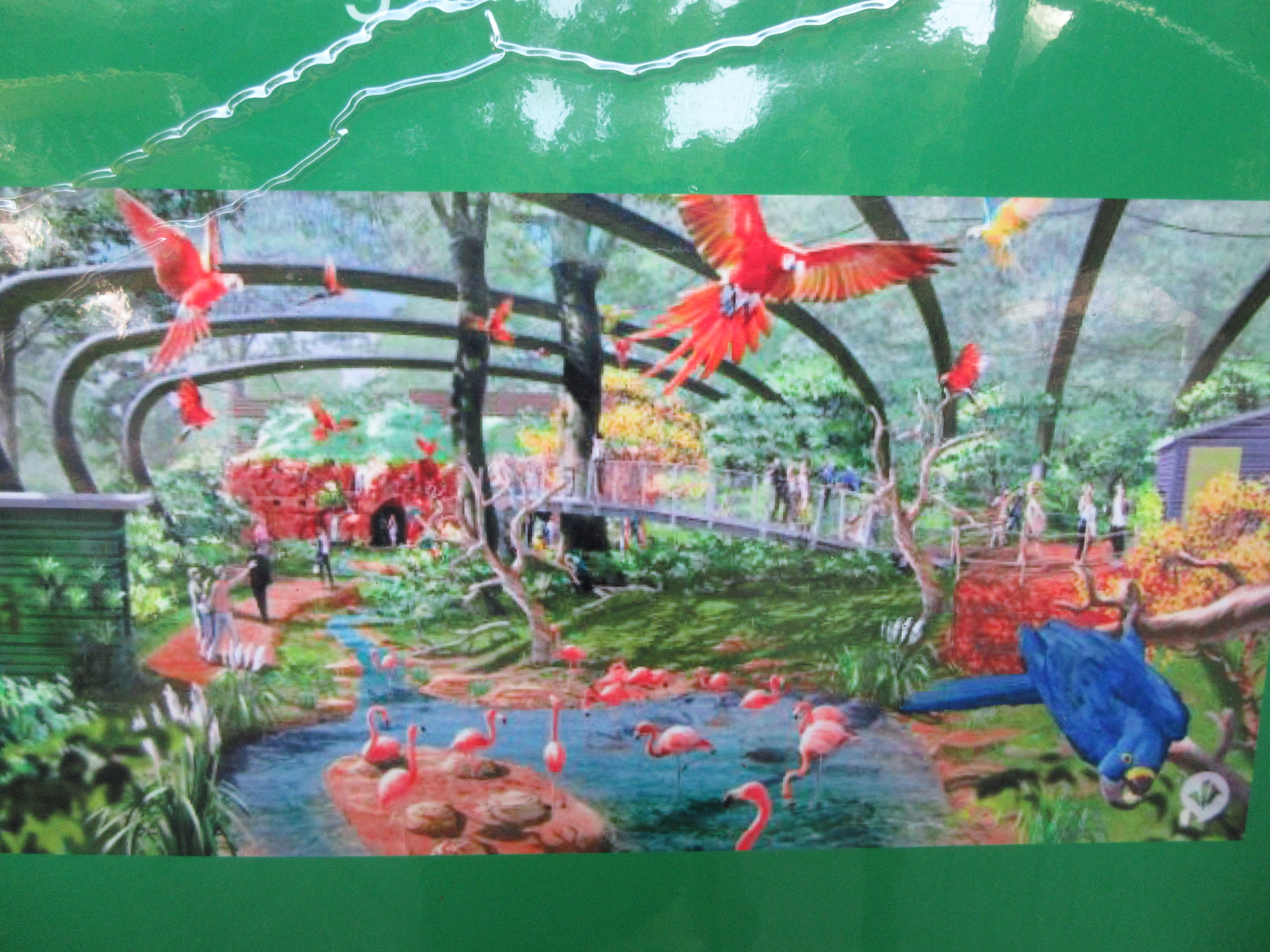 Future Exhibit - Aralandia