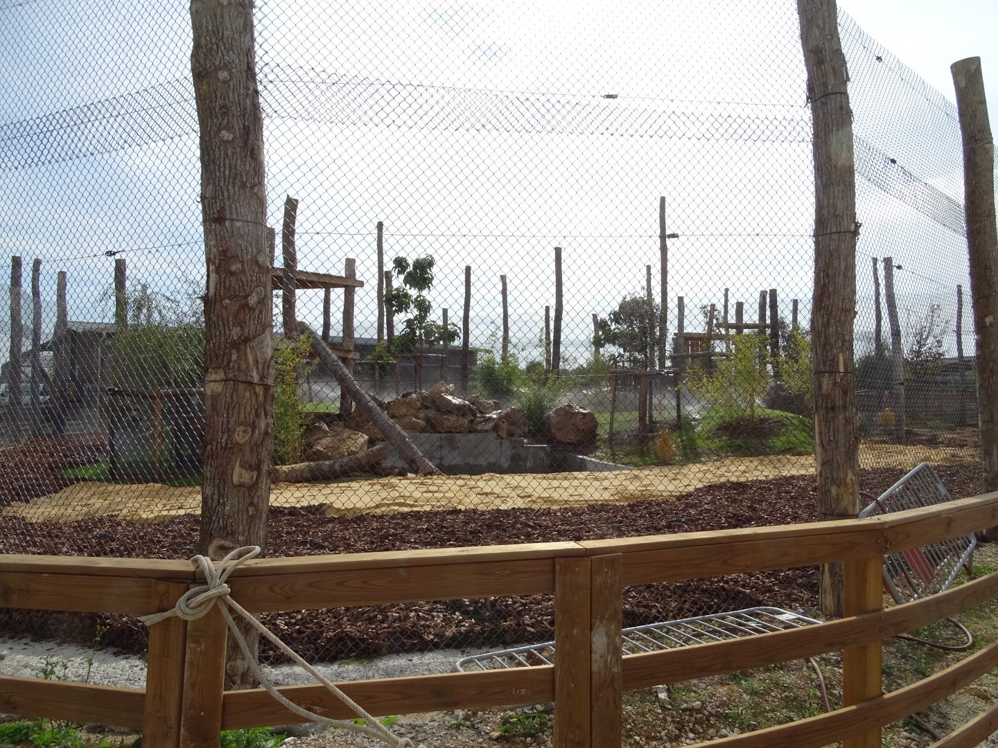 Future exhibit (big cats ?)