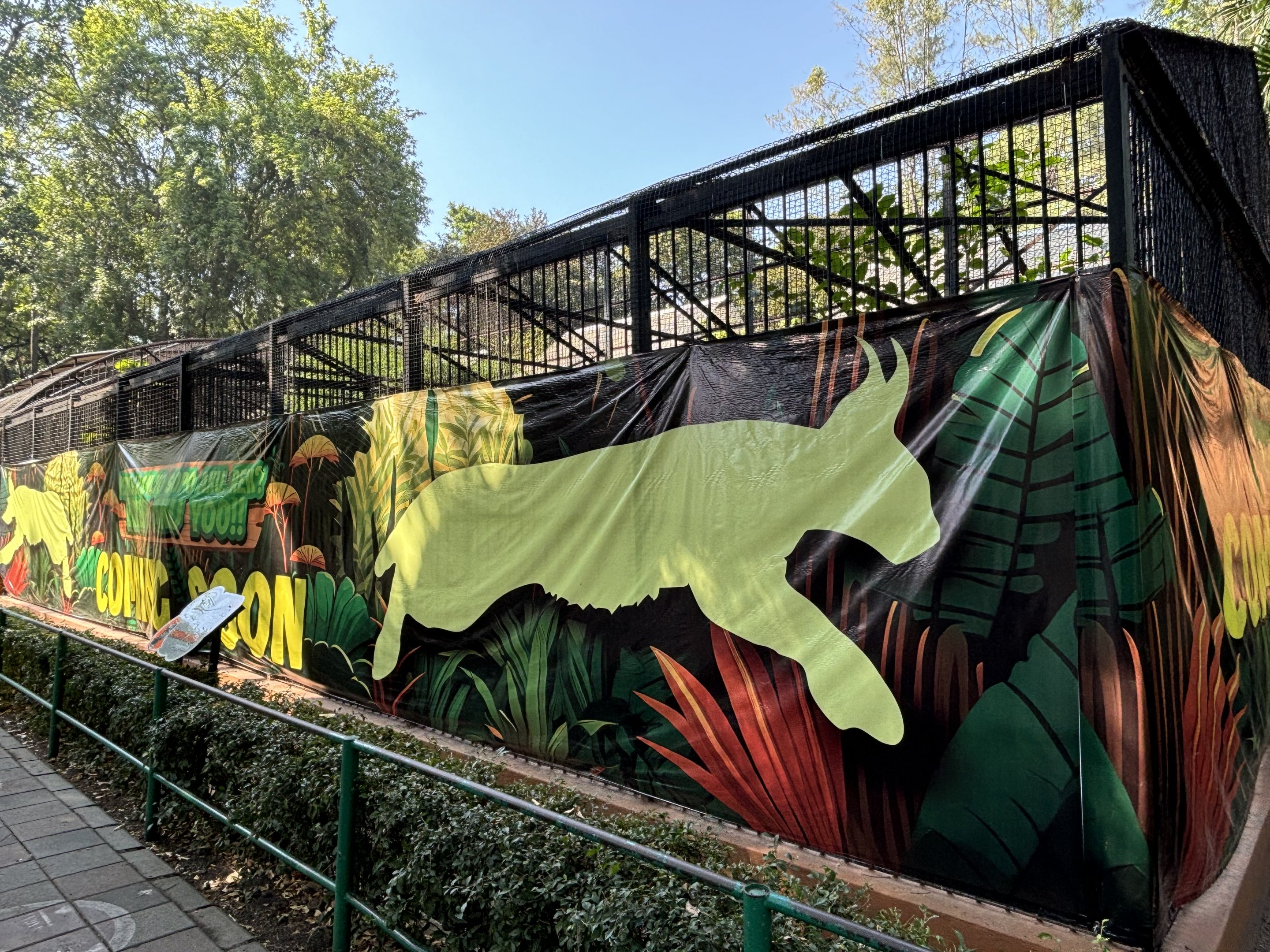 Future Exhibit - Caracal?