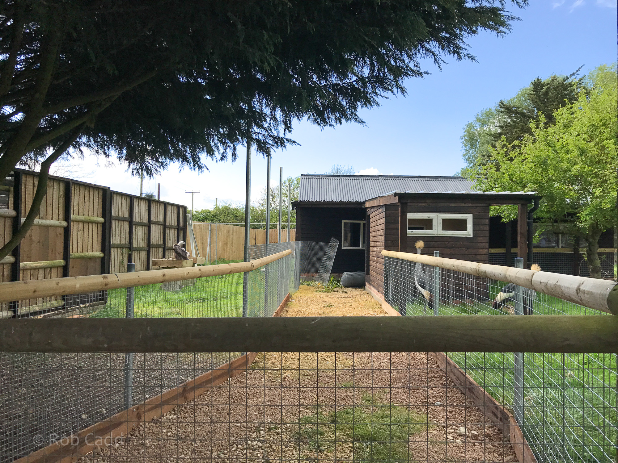 Future exhibit - flamingos etc. (construction progress) : Hamerton : 14 May 2017