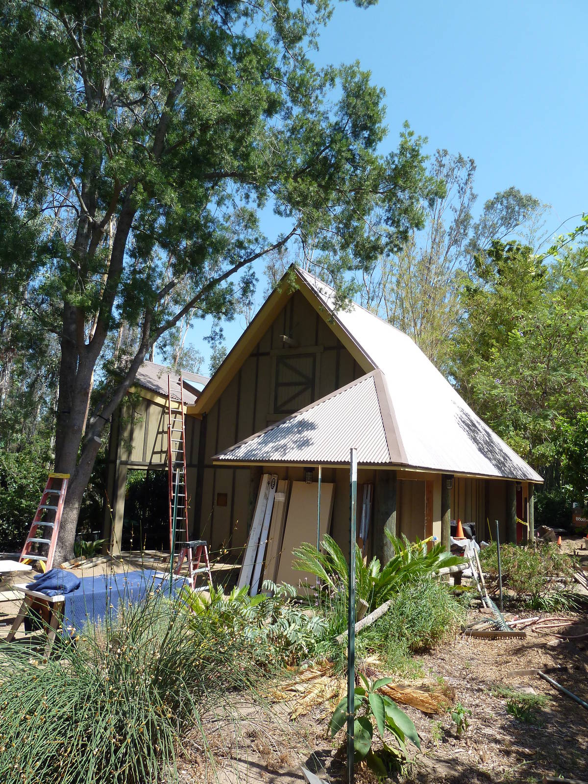 Future Exhibit In 2011 - Flying Foxes