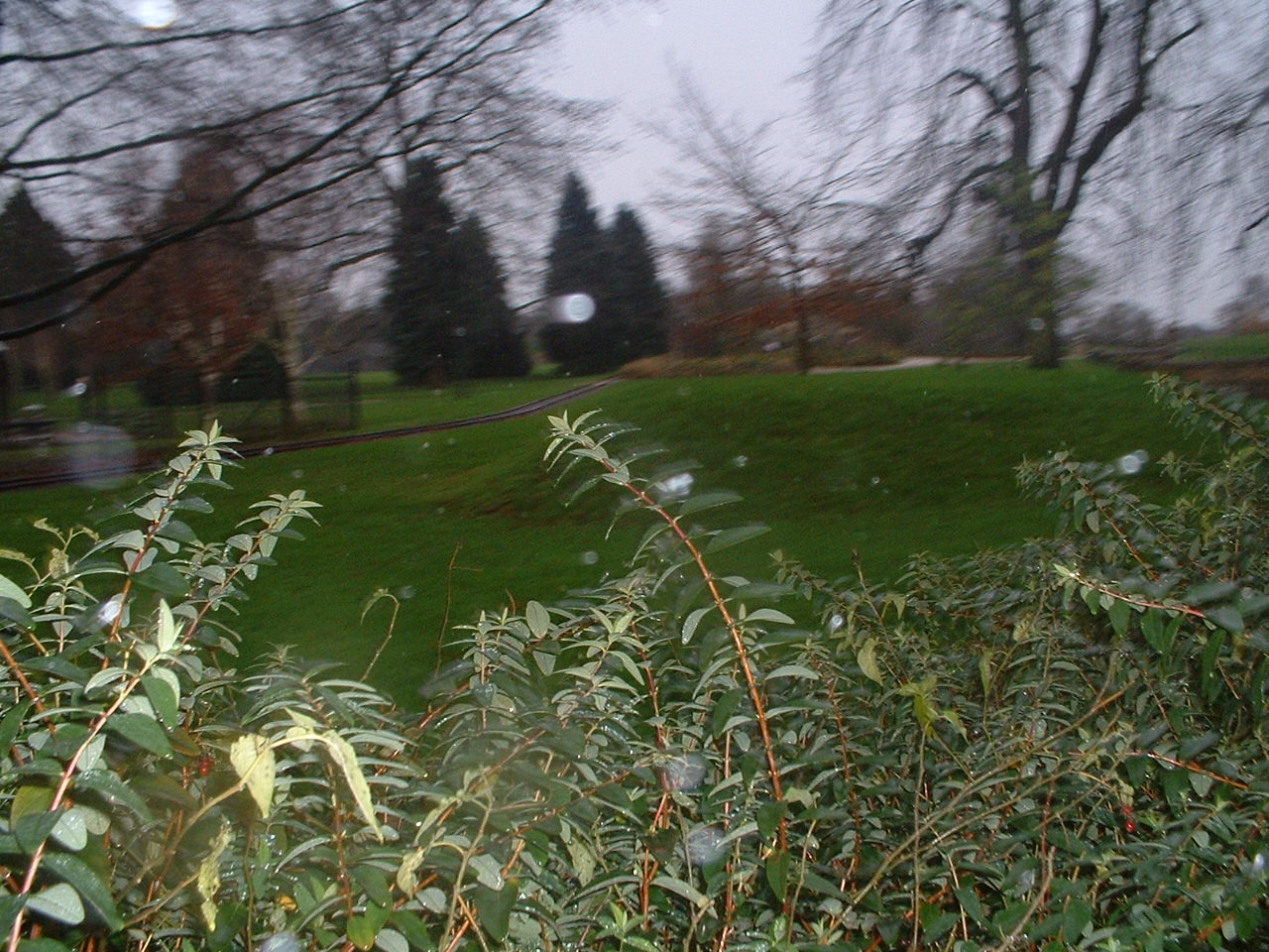 Future Exhibit Space