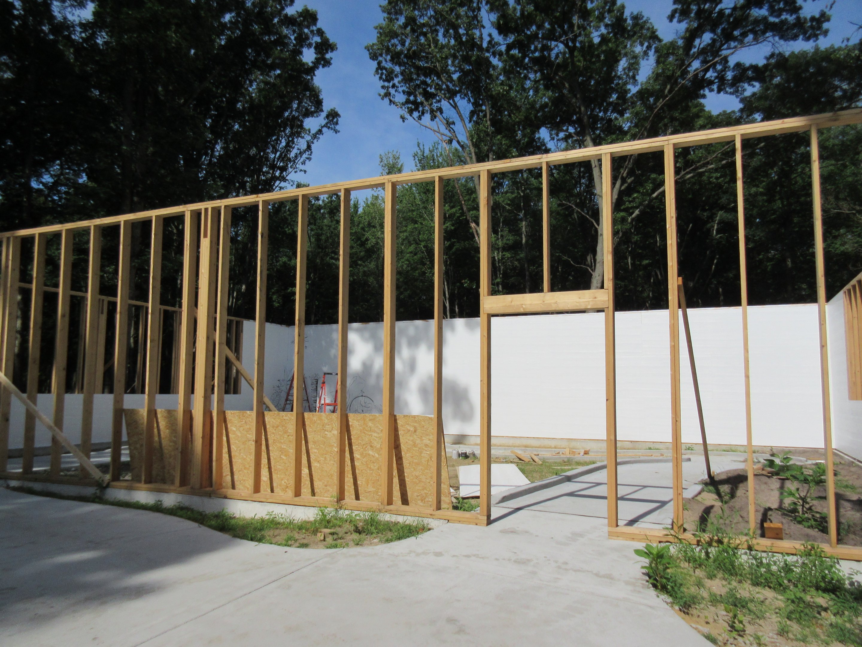 Future Exhibit - Tropical Building?