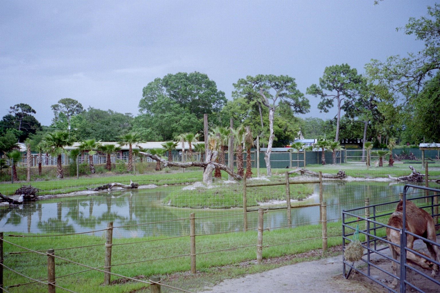 Future Exhibits - Safari Africa