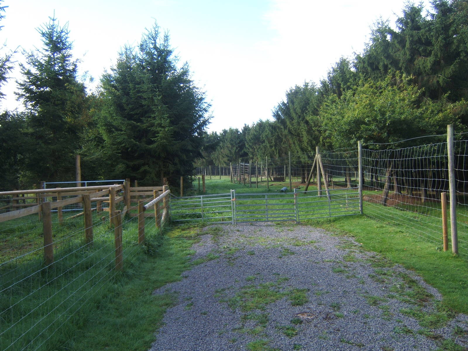 Future extension area