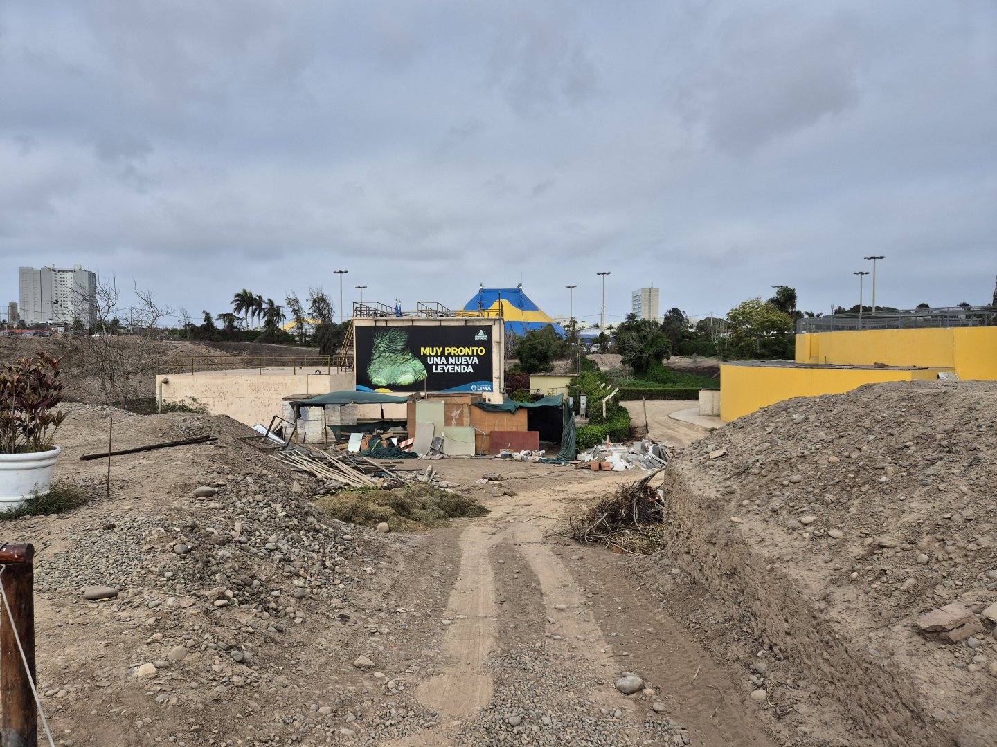 Future extension for Elephants