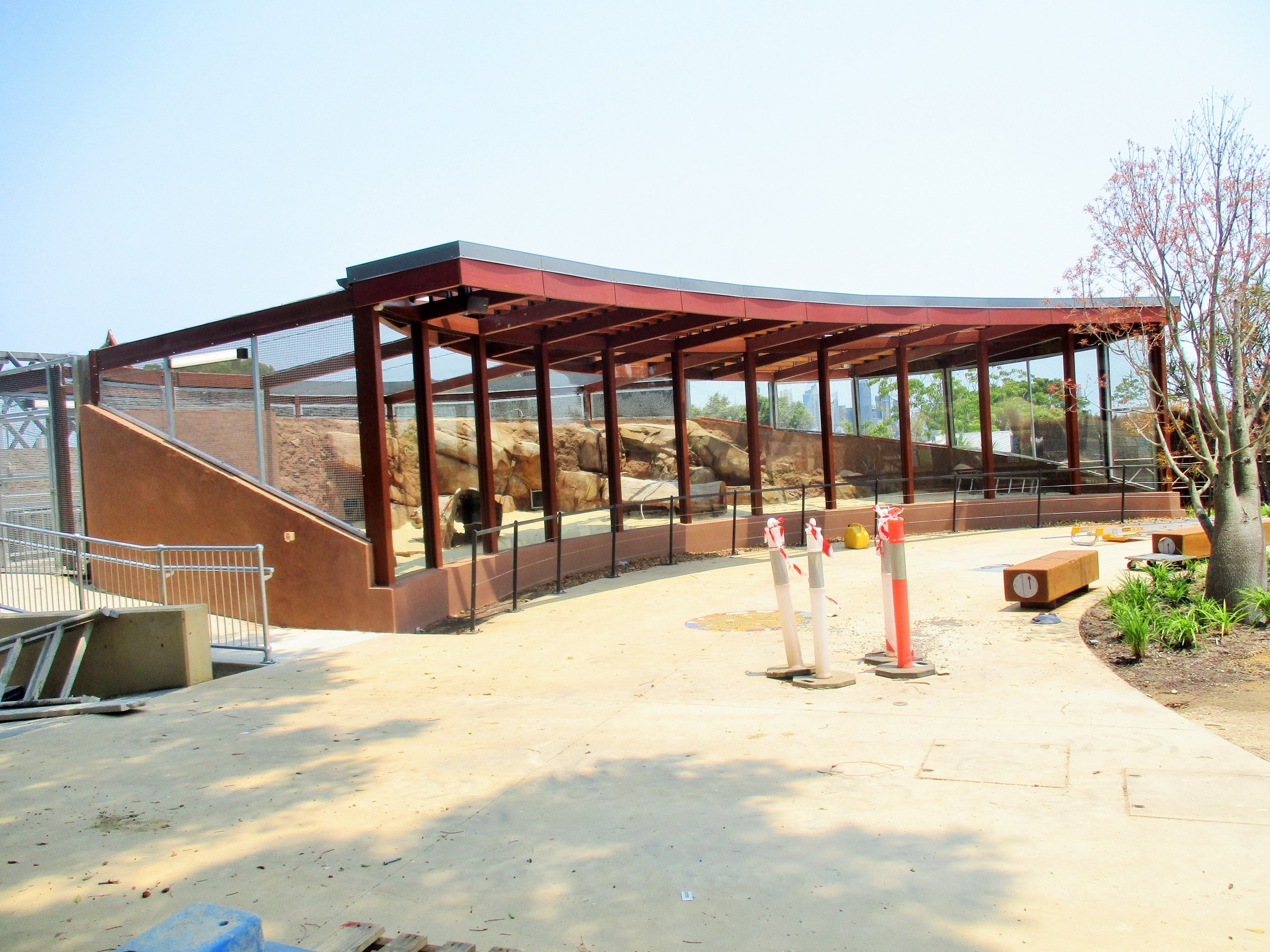 Future Fennec Fox Enclosure- African Savannah (Opening 2020)