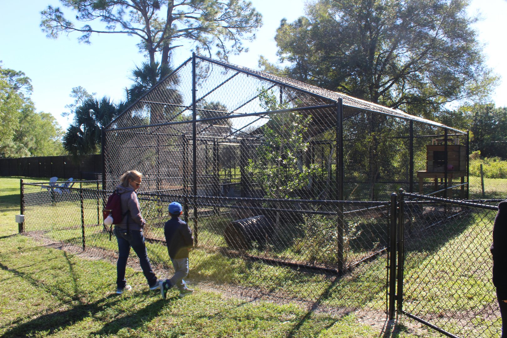 Future Fishing Cat Enclosure
