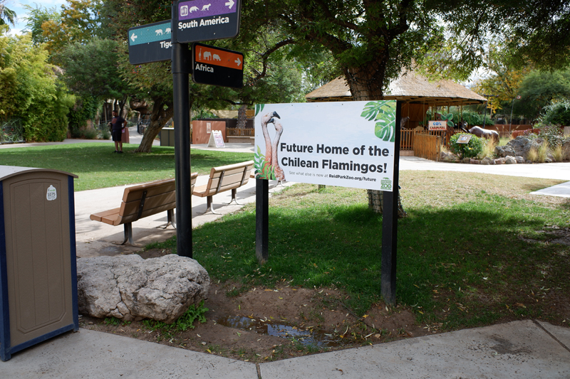 future flamingo area (front plaza)