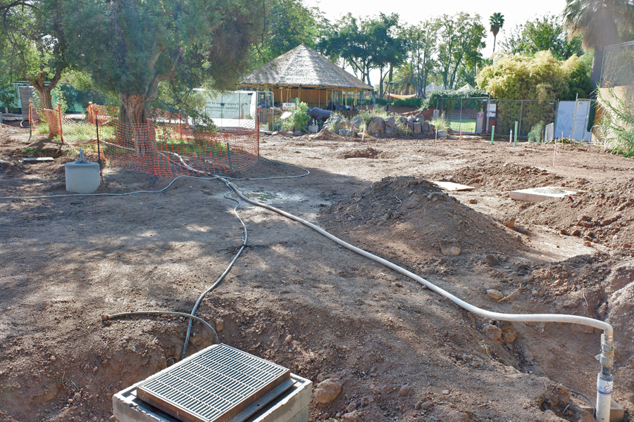future flamingo exhibit