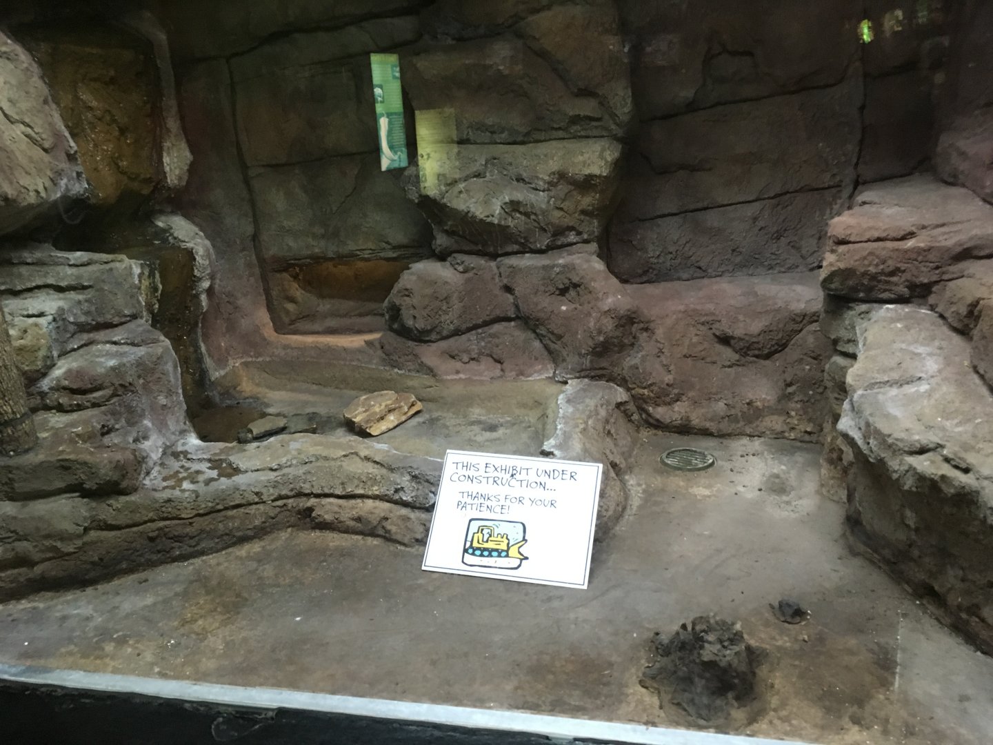 Future Flying Snake Exhibit | Milwaukee County Zoo