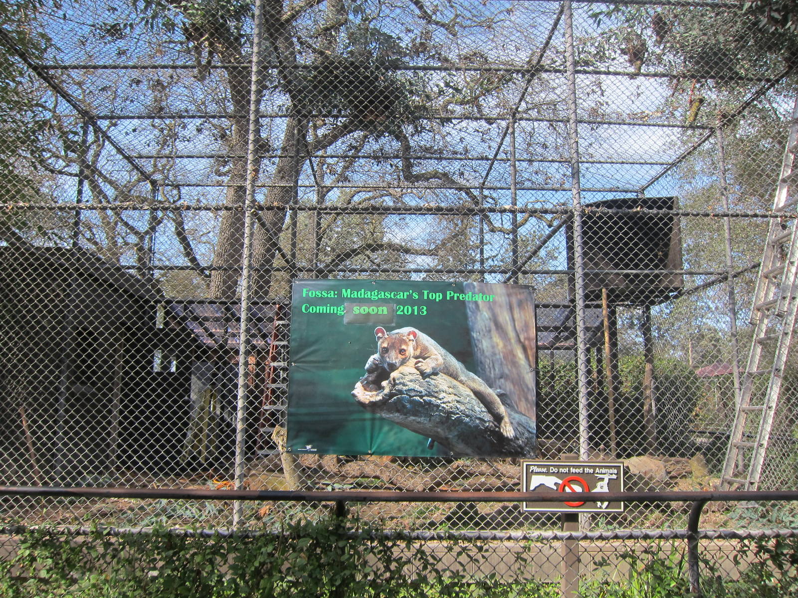 Future Fossa Exhibit