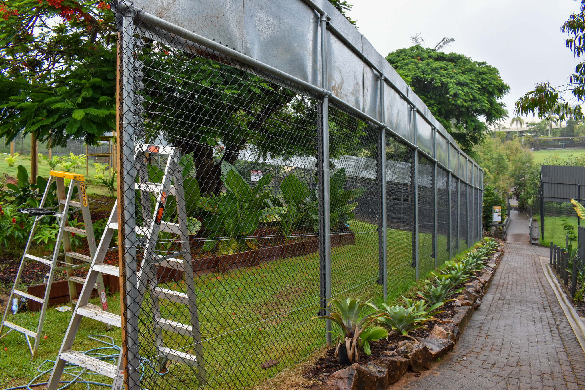 Future Gibbon Enclosure