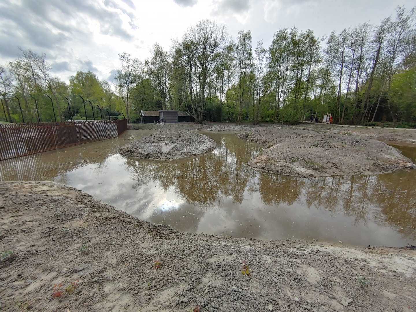 Future gibbon enclosure