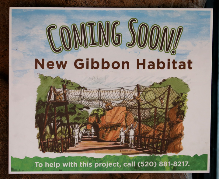 future gibbon exhibit