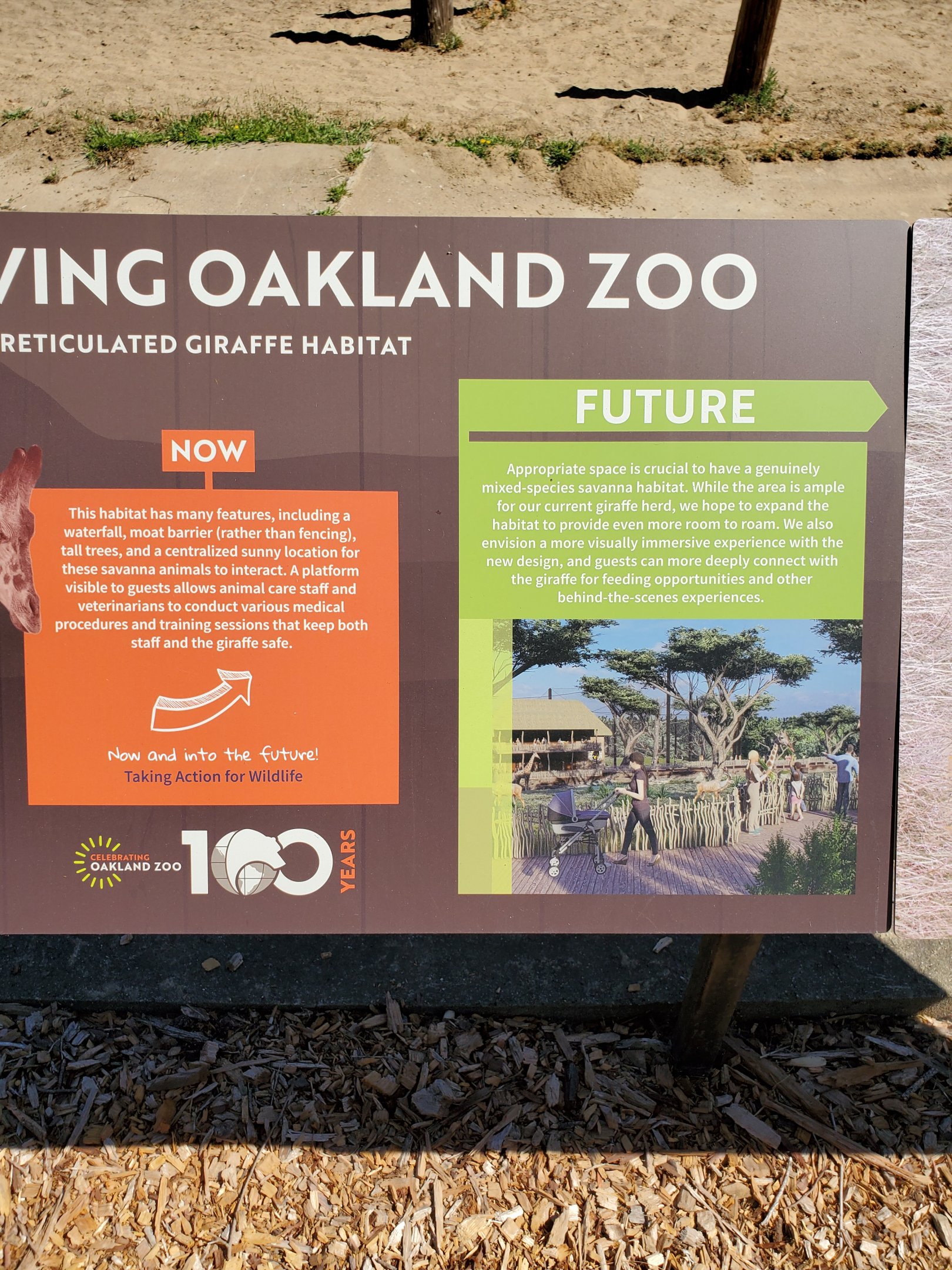 Future giraffe exhibit concept - 10 Jun 2022
