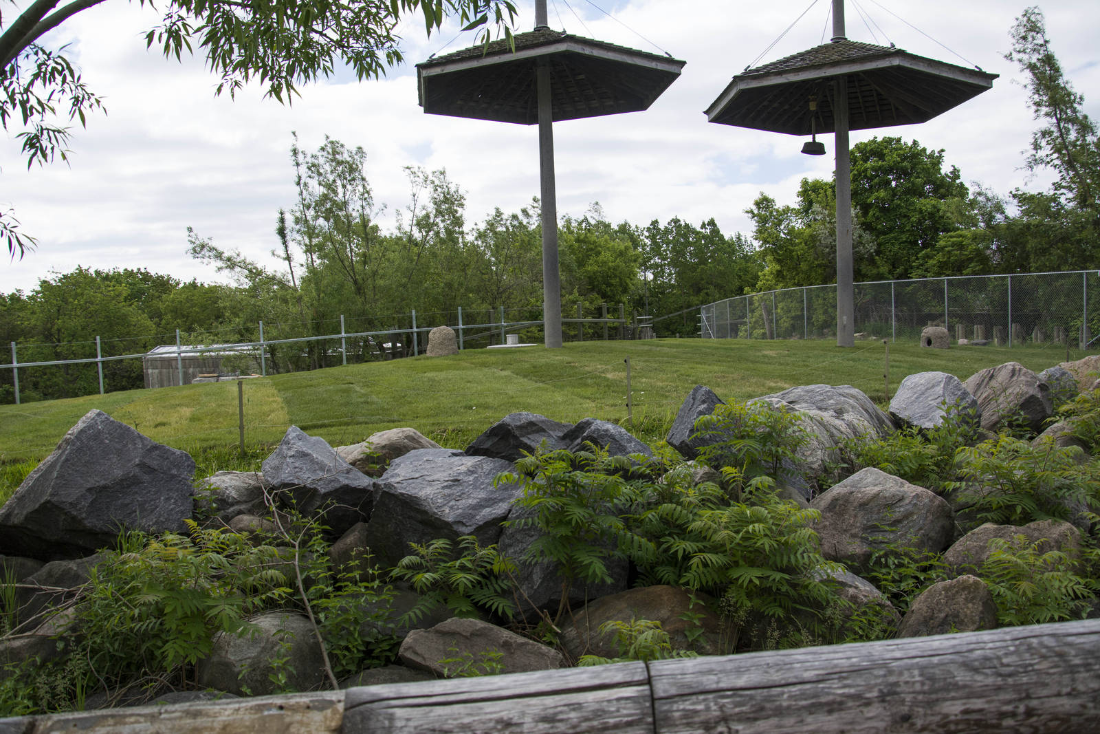 Future Giraffe Exhibit Main Yard