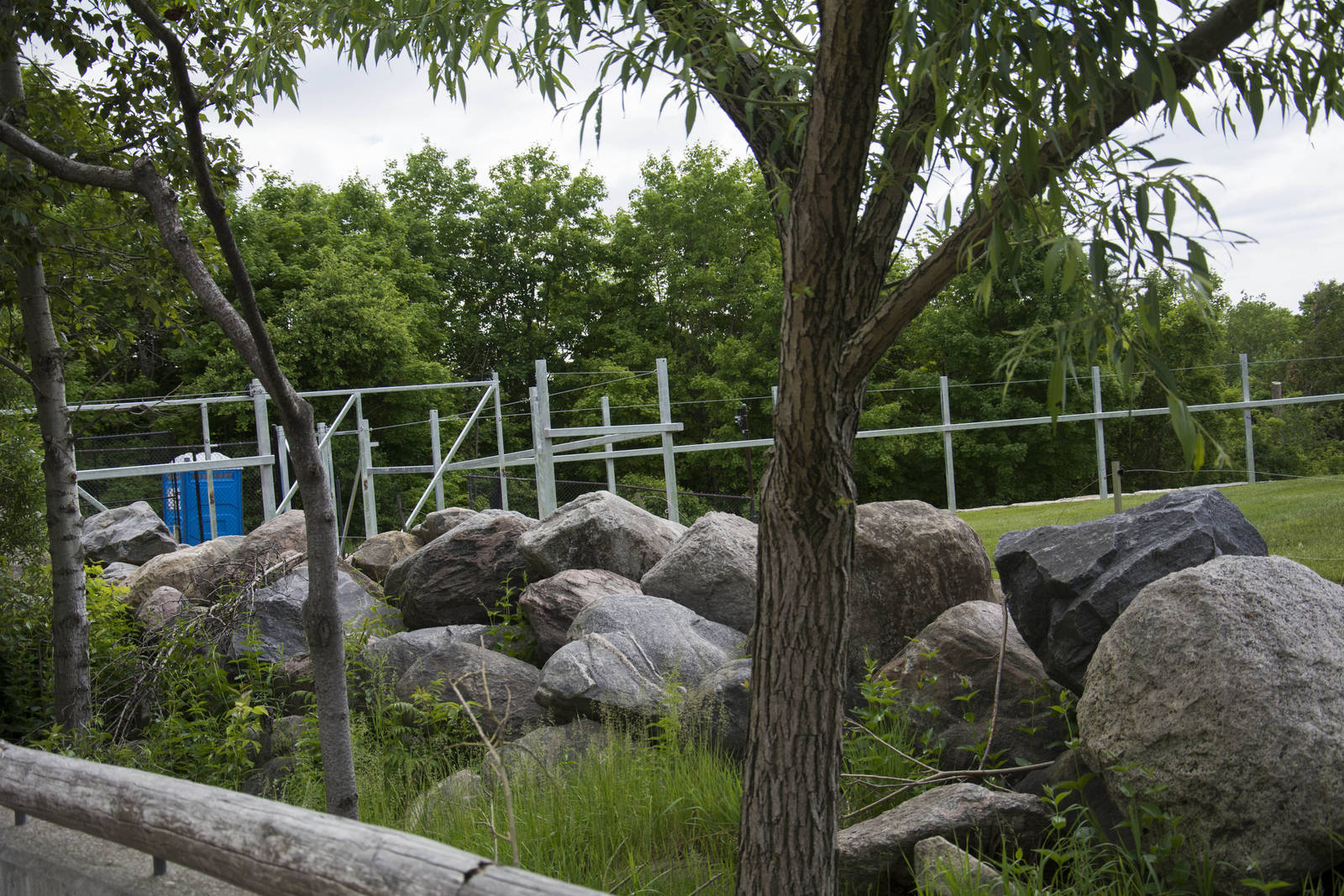 Future Giraffe Exhibit
