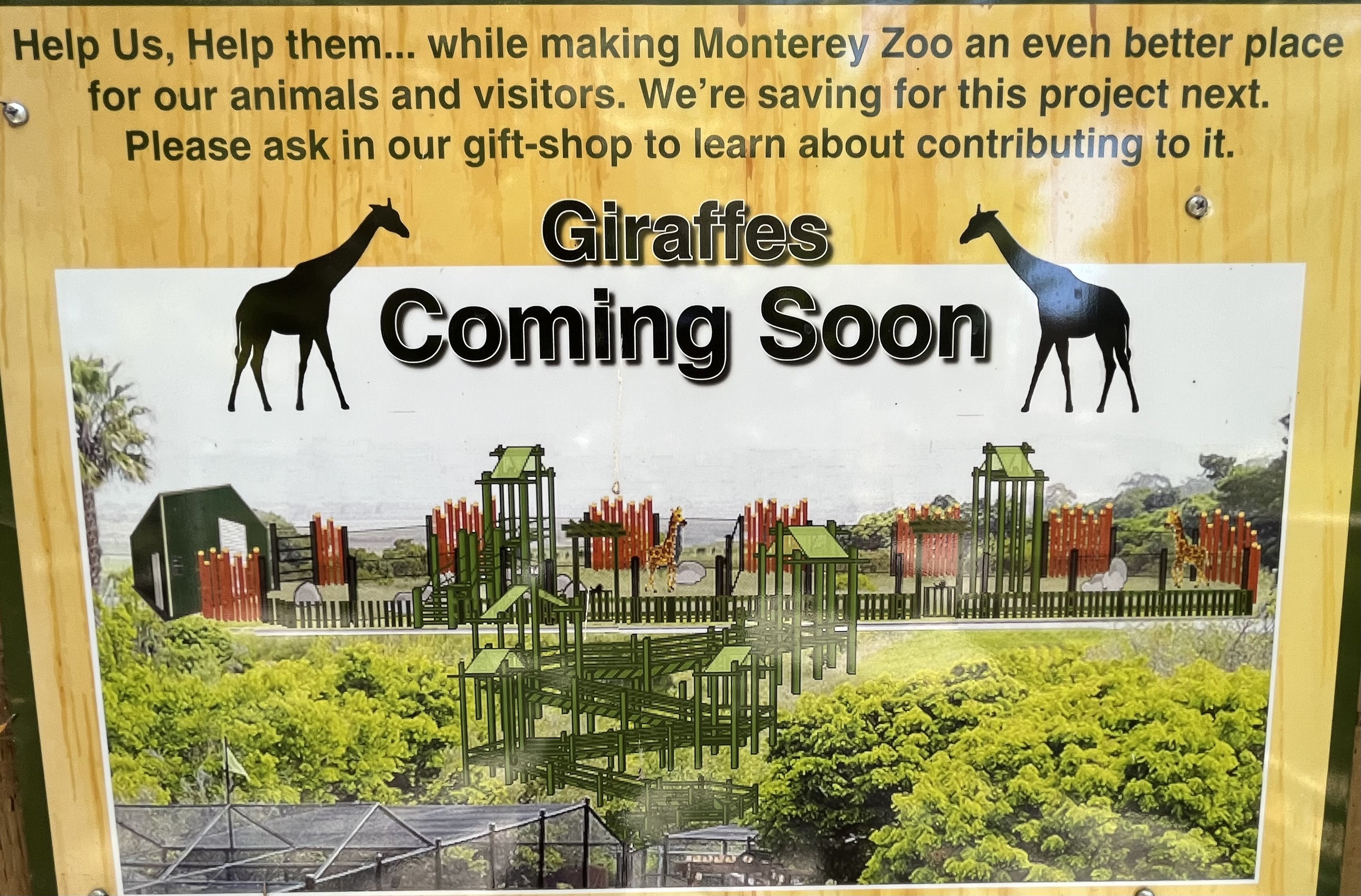 Future Giraffe Exhibit?