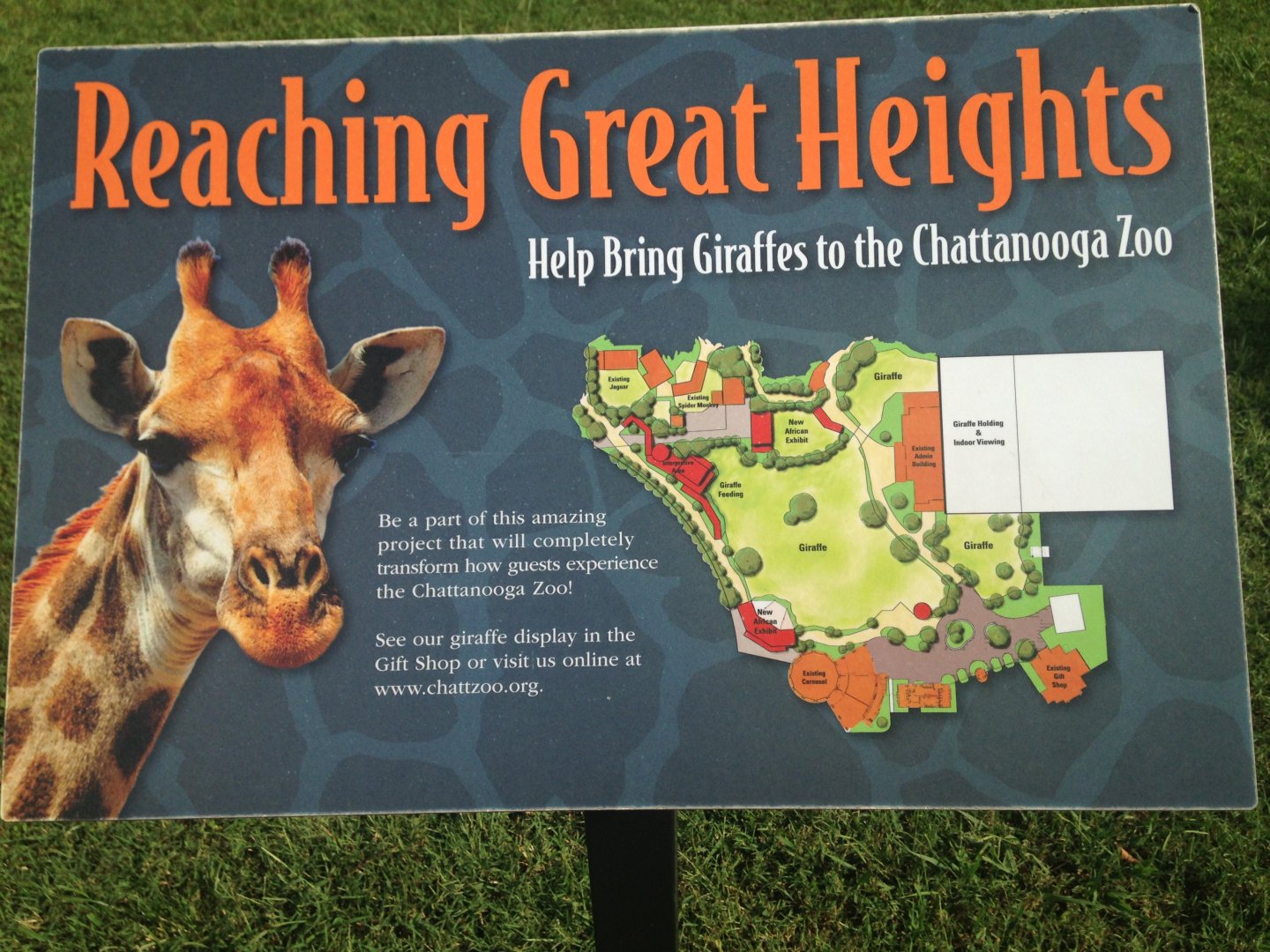 Future Giraffe Expansion