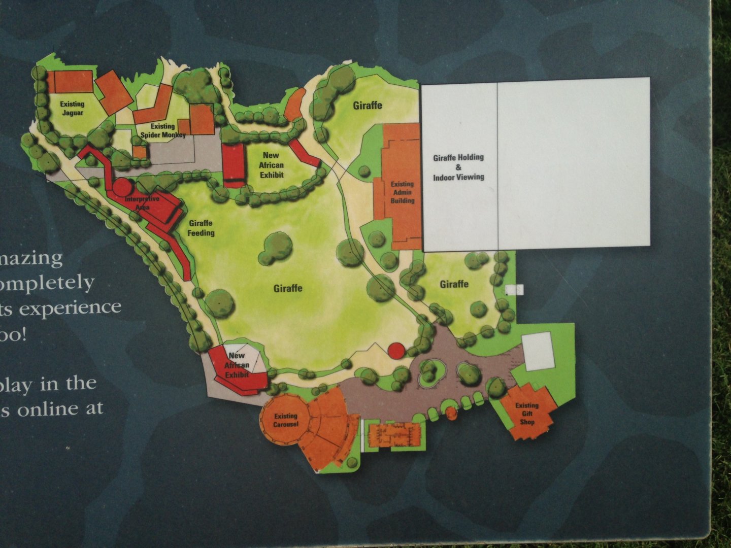 Future Giraffe Expansion