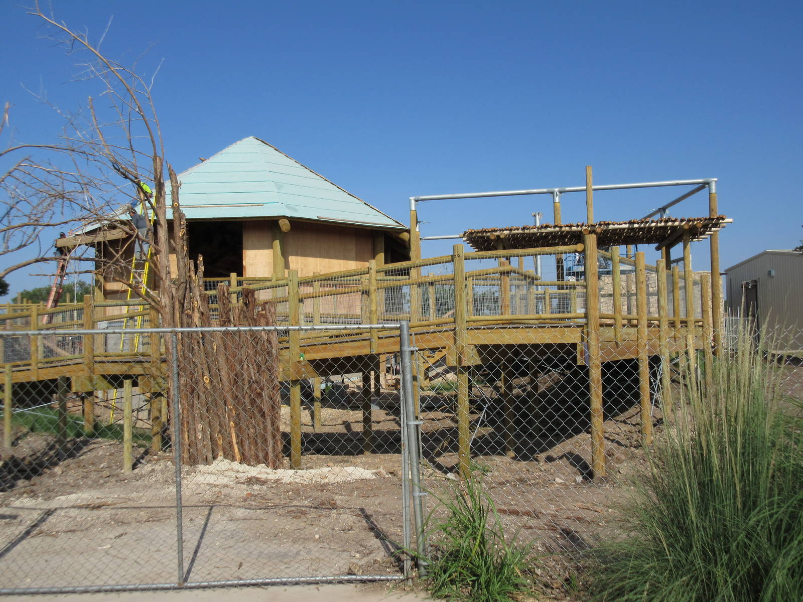 Future Giraffe Safari Exhibit