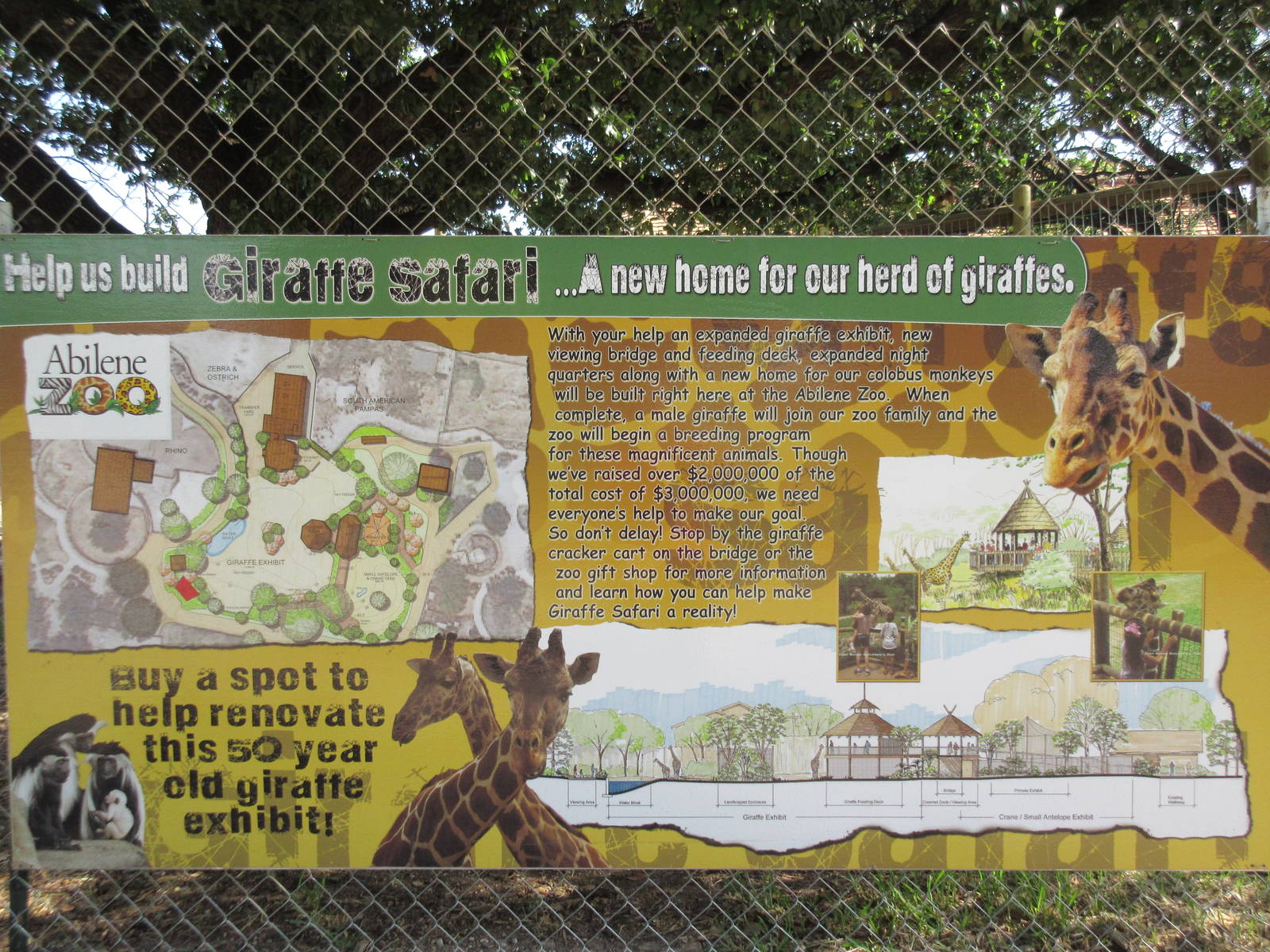 Future Giraffe Safari Exhibit