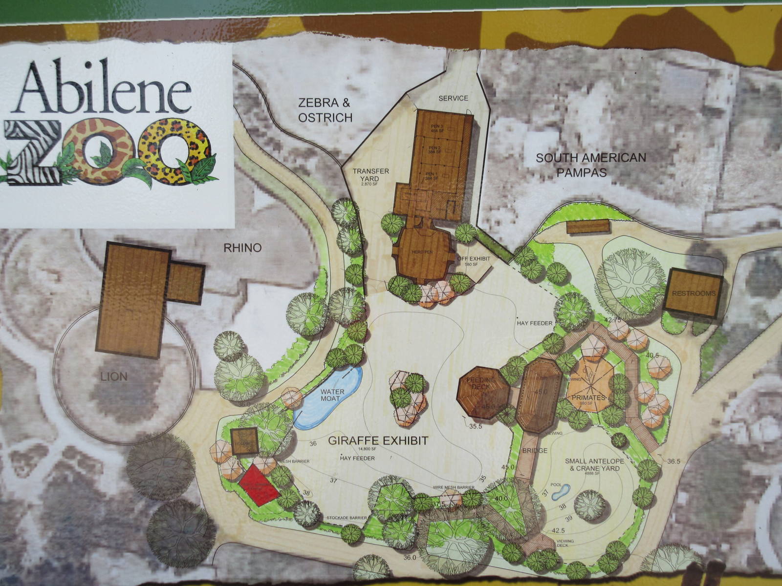 Future Giraffe Safari Exhibit